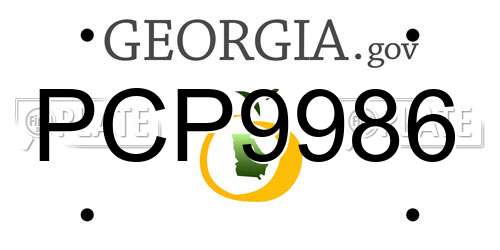 PCP9986 Georgia License Plate