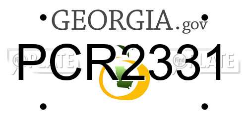 PCR2331 Georgia License Plate