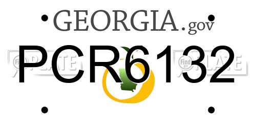 PCR6132 Georgia License Plate