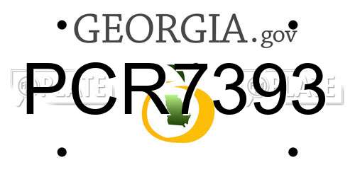 PCR7393 Georgia License Plate