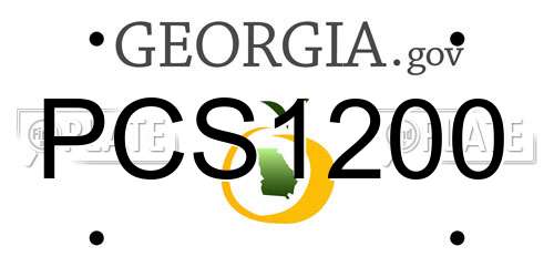 PCS1200 Georgia License Plate