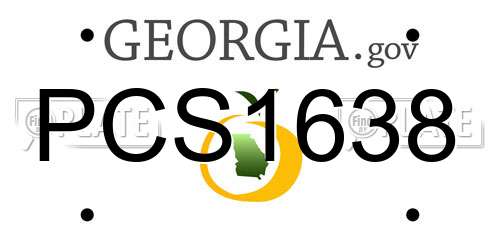 PCS1638 Georgia License Plate