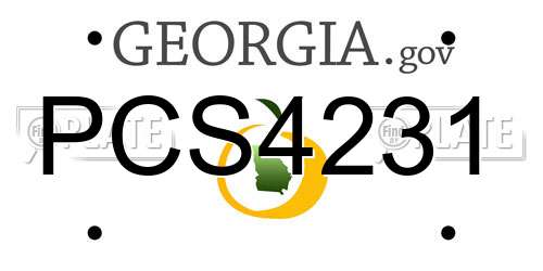 PCS4231 Georgia License Plate