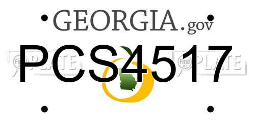 PCS4517 Georgia License Plate