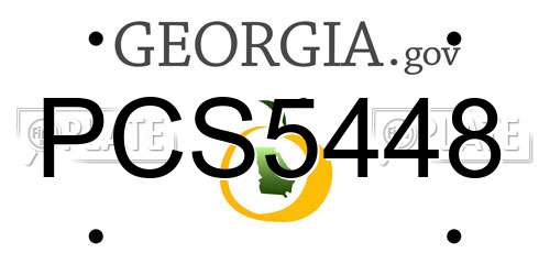 PCS5448 Georgia License Plate