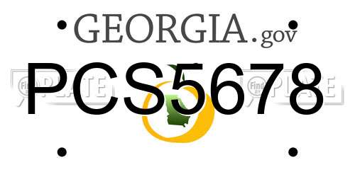 PCS5678 Georgia License Plate