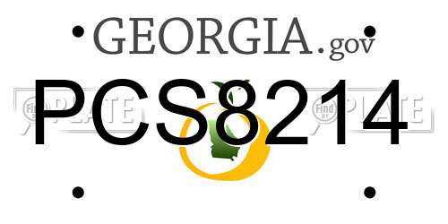 PCS8214 Georgia License Plate
