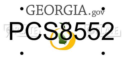 PCS8552 Georgia License Plate