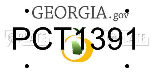 PCT1391 Georgia License Plate