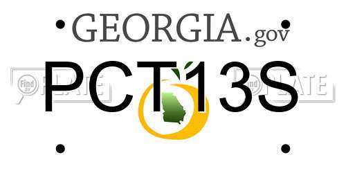 PCT13S Georgia License Plate