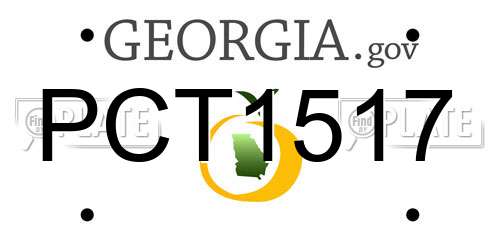 PCT1517 Georgia License Plate