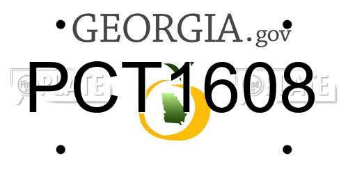 PCT1608 Georgia License Plate
