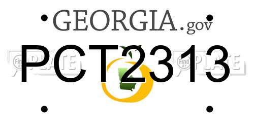 PCT2313 Georgia License Plate
