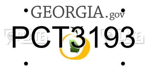 PCT3193 Georgia License Plate