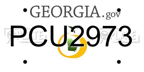 PCU2973 Georgia License Plate