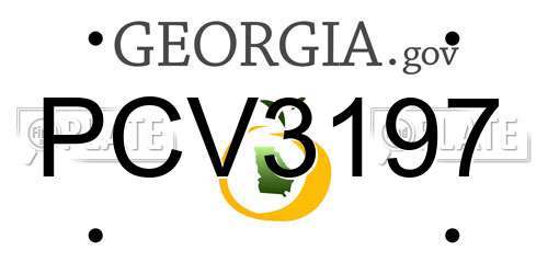 PCV3197 Georgia License Plate
