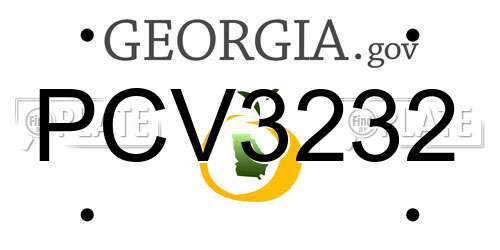 PCV3232 Georgia License Plate