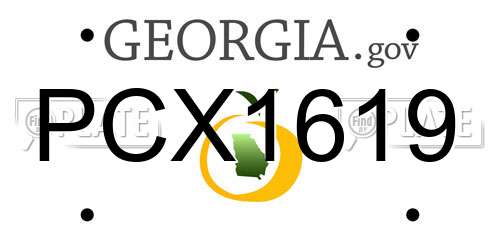 PCX1619 Georgia License Plate