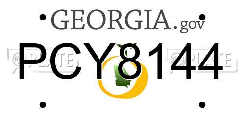 PCY8144 Georgia License Plate
