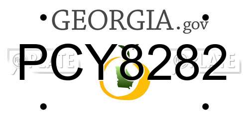 PCY8282 Georgia License Plate
