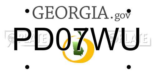 PD07WU Georgia License Plate