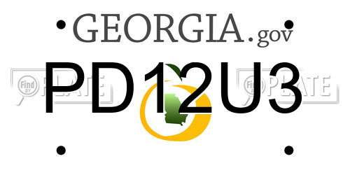 PD12U3 Georgia License Plate