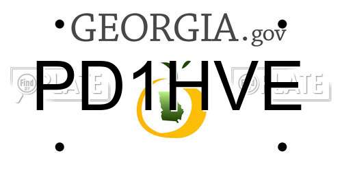 PD1HVE Georgia License Plate