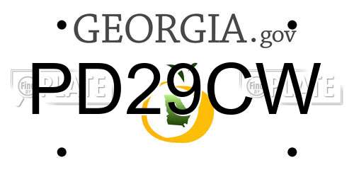 PD29CW Georgia License Plate