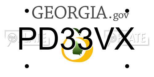PD33VX Georgia License Plate