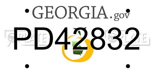PD42832 Georgia License Plate