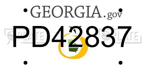 PD42837 Georgia License Plate