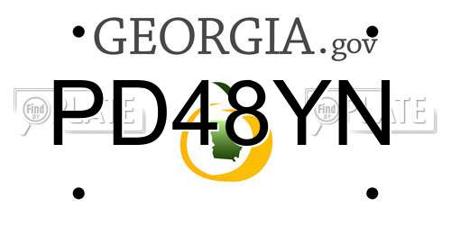 PD48YN Georgia License Plate