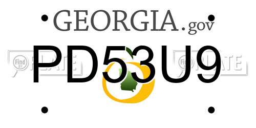PD53U9 Georgia License Plate