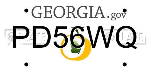 PD56WQ Georgia License Plate