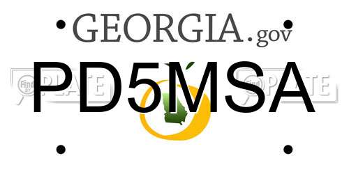 PD5MSA Georgia License Plate