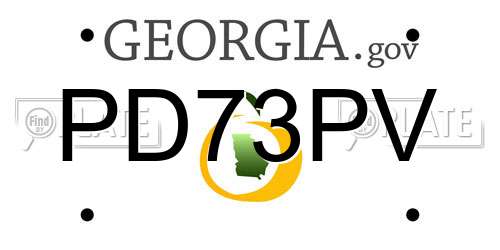 PD73PV Georgia License Plate