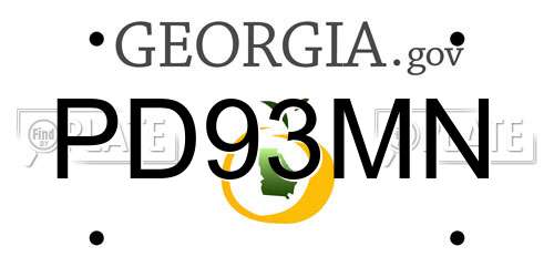 PD93MN Georgia License Plate