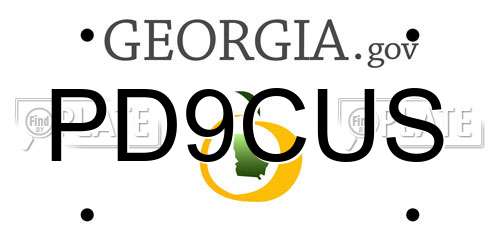 PD9CUS Georgia License Plate