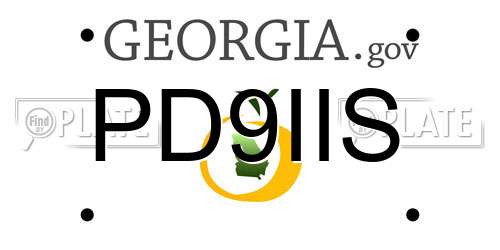 PD9IIS Georgia License Plate