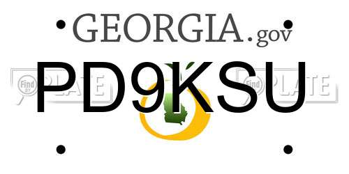 PD9KSU Georgia License Plate