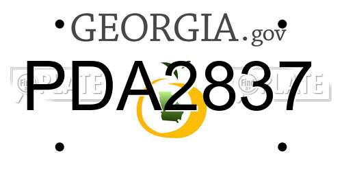 PDA2837 Georgia License Plate