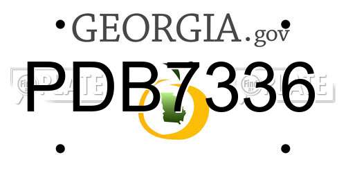 PDB7336 Georgia License Plate