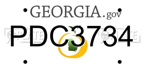PDC3734 Georgia License Plate