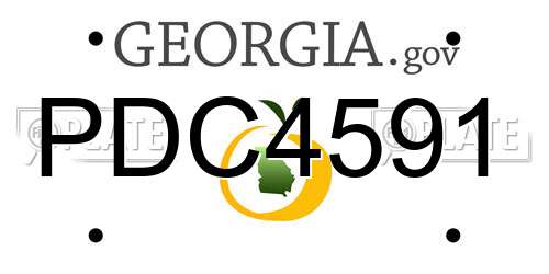 PDC4591 Georgia License Plate