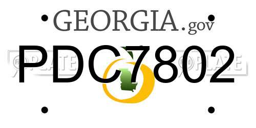 PDC7802 Georgia License Plate