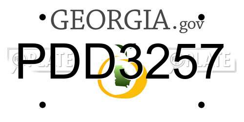 PDD3257 Georgia License Plate
