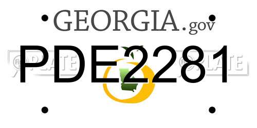 PDE2281 Georgia License Plate