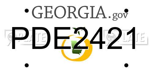 PDE2421 Georgia License Plate