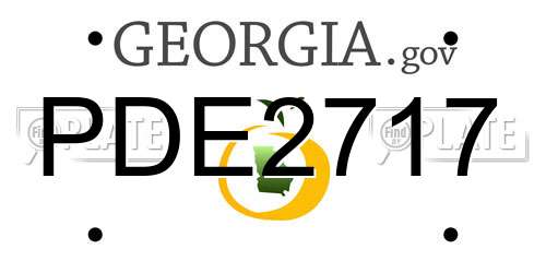 PDE2717 Georgia License Plate