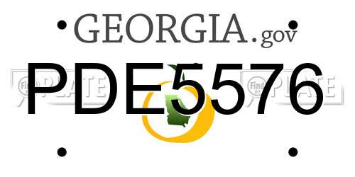 PDE5576 Georgia License Plate